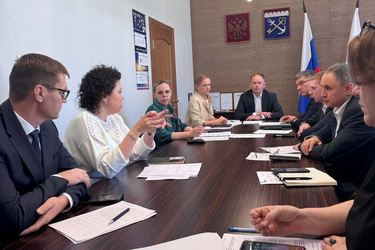 В Ленобласти ведется инвентаризация потребляемой жителями электроэнергии